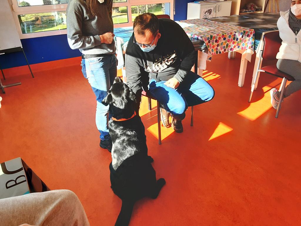 O centro de recursos que COGAMI ten en Fingoi realiza un programa de terapia con animais