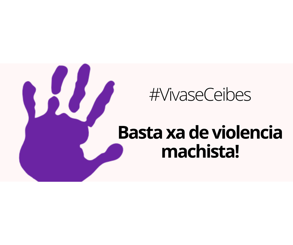 Manifesto da asociación ACADAR 25N