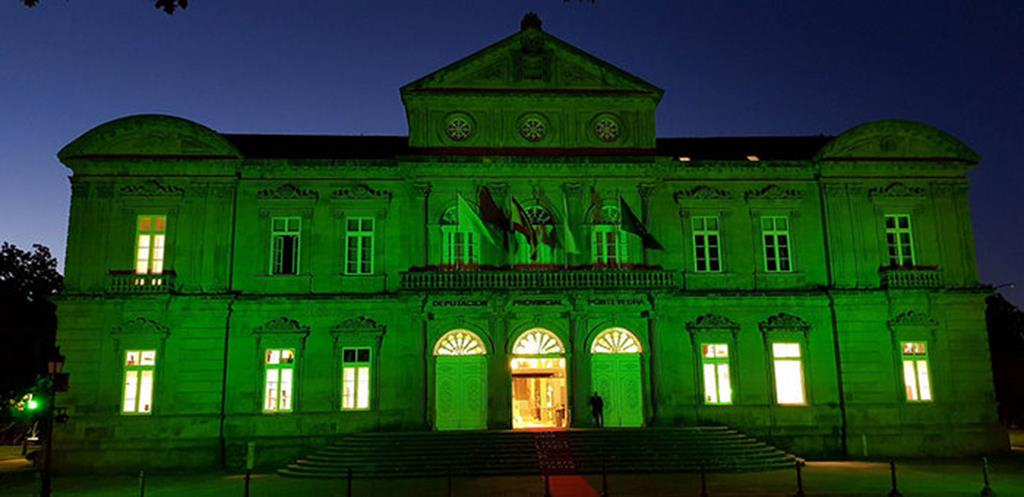 O Pazo provincial da Deputación tínguese de verde polo Día Nacional da Artrite